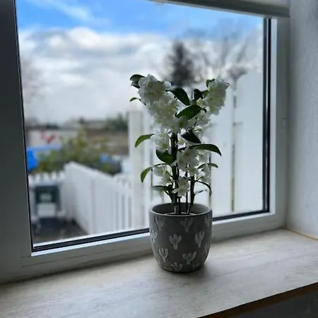 Appartement Gemuetliches Reihenhaus Mit Terrasse à Magdebourg Extérieur photo