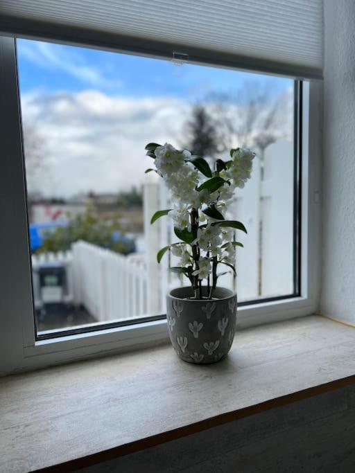 Gemuetliches Reihenhaus Mit Terrasse Appartement *